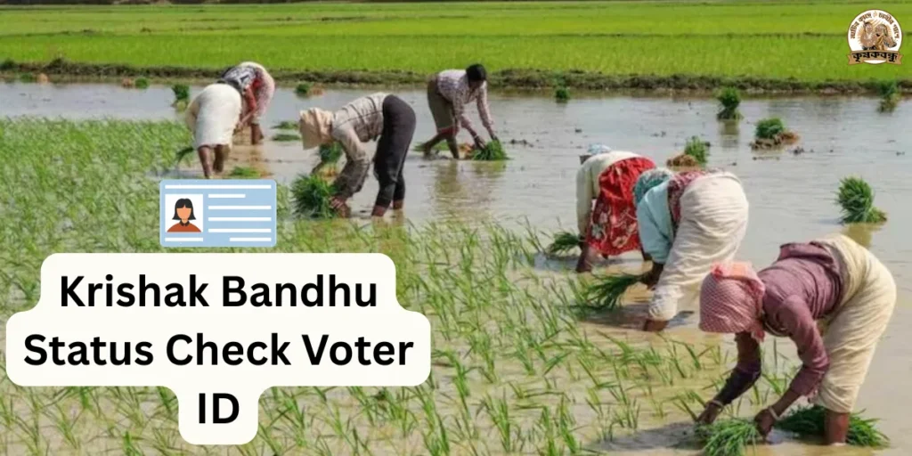 Krishak Bandhu Status Check Voter ID