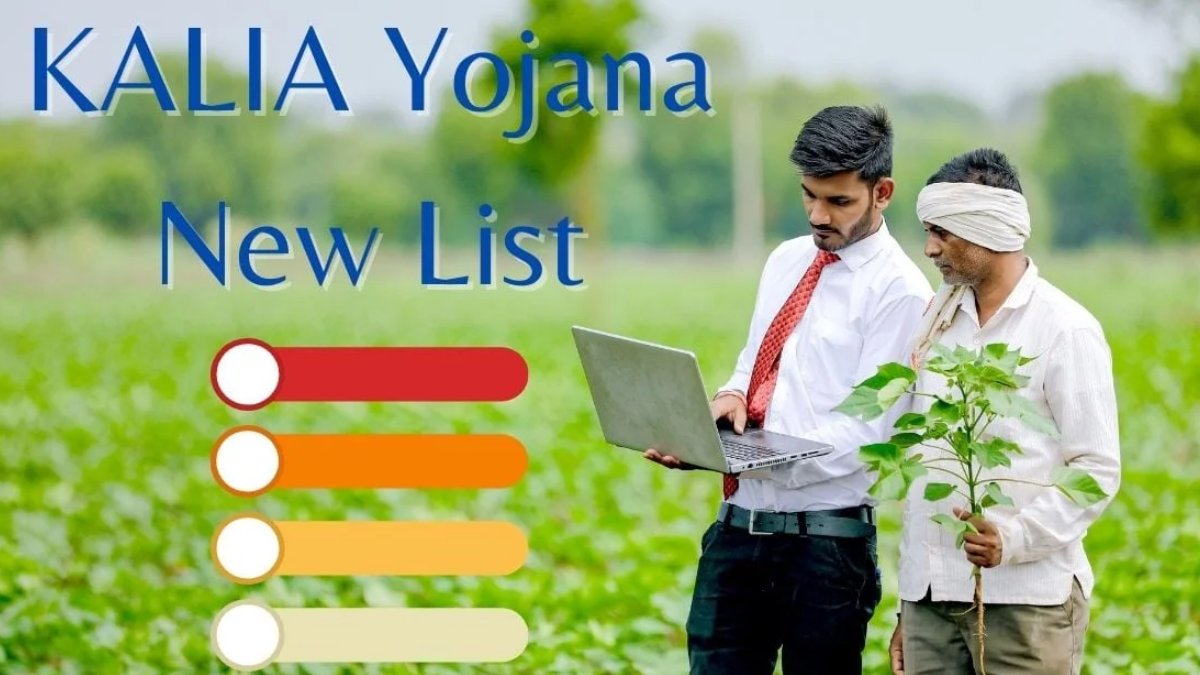 Kalia Yojana